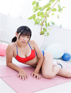 铁面御史